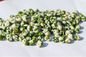 Full Nutrition Green Peas Snack Solone Taste Marrowfat Produkt koszerowany Niestandardowy