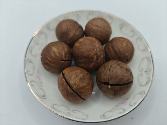 Orzechy makadamia