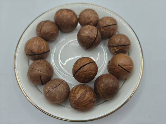 Orzechy makadamia