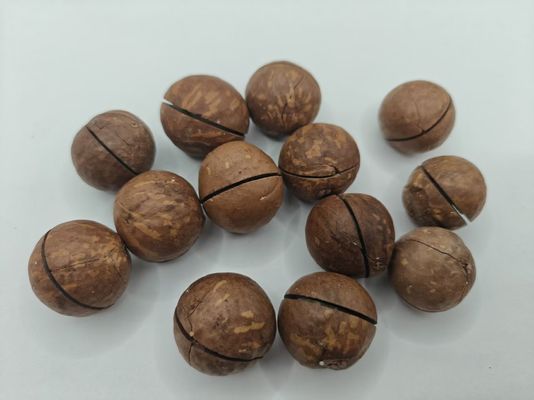 Orzechy makadamia