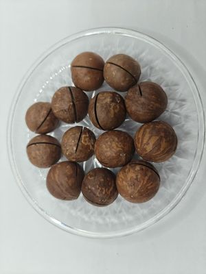 Orzechy makadamia