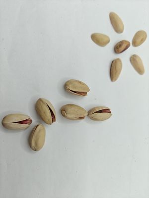 Zadośćuczynienie pragnień Pieczona sól Pistachio w skorupie Bezpłatna próbka