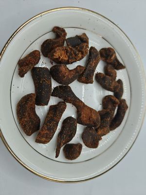 Zwierzęta i zwierzęta