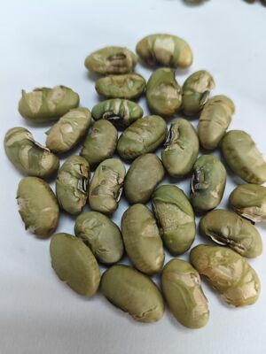 Data ważności 12 miesięcy Soja Bean Delights produkowane z soi idealnie nadają się dla producentów żywności poszukujących dostaw składników