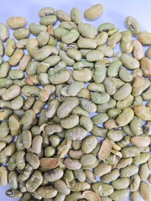 High Protein Soya Bean Crunchies Honey Flavored Perfect Addition to Healthy Snack Products and Nutritional Food Lines