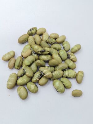 Sólone przekąski z edamame o naturalnym kolorze, chrupiącej konsystencji i czystym smaku fasoli