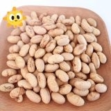 Koszer Halal Certyfikowane Pokryte Pieczone Pikantne Żółte Edamame Soja Snacks ISO zatwierdzone