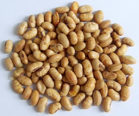 Koszer Halal Certyfikowane Pokryte Pieczone Pikantne Żółte Edamame Soja Snacks ISO zatwierdzone