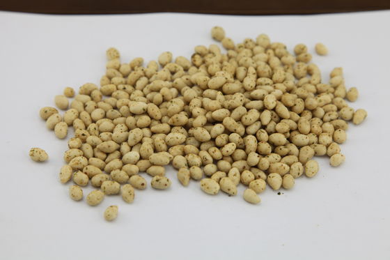 Koszerna certyfikowana przekąska z nasion słonecznika, prażone pestki słonecznika o smaku pysznym