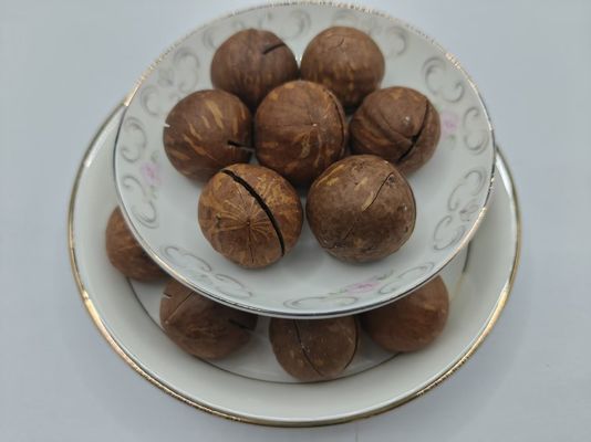Orzechy makadamia